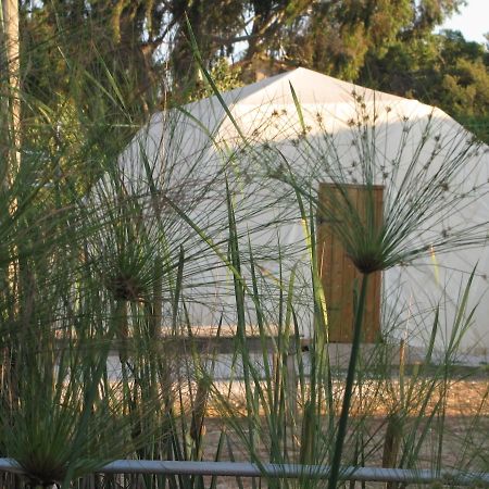Yarok Az - Ecolodge Farm Ilaniya 객실 사진