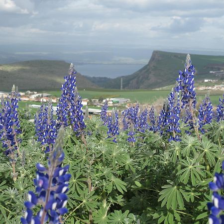 Yarok Az - Ecolodge Farm Ilaniya 외부 사진