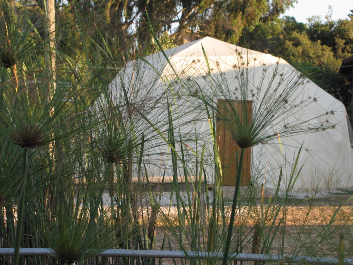 Yarok Az - Ecolodge Farm Ilaniya 객실 사진