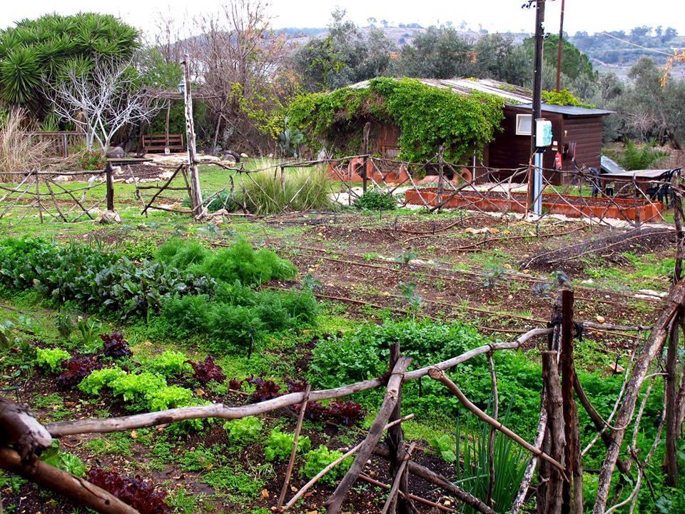 Yarok Az - Ecolodge Farm Ilaniya 외부 사진